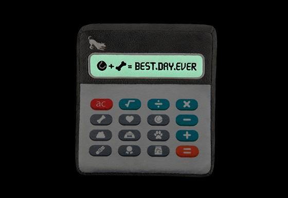 Back to School Collection - Petisan