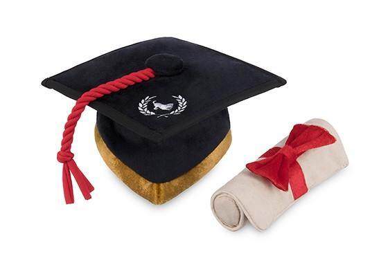 Back to School Collection - Petisan