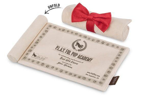 Back to School Collection - Petisan