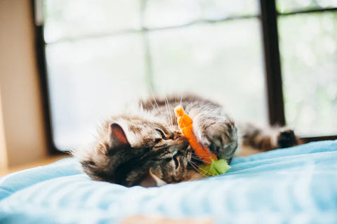 貓薄荷玩具 農場套裝