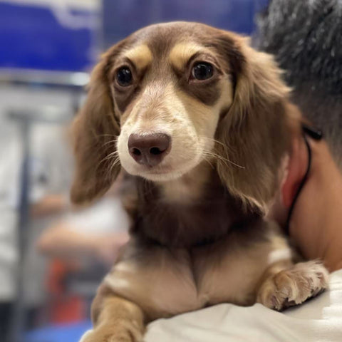 Stress-Free Approach