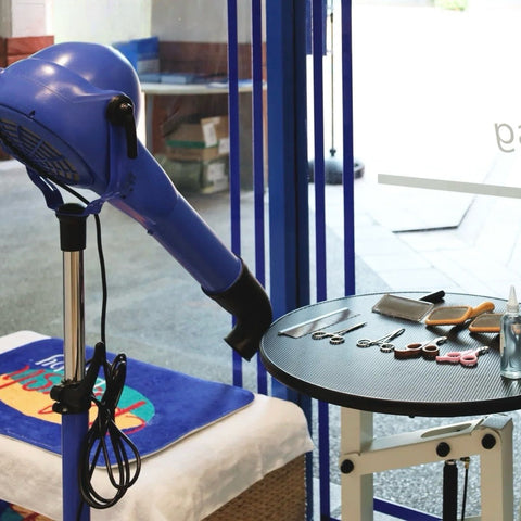 Fur-Shine Health Tech