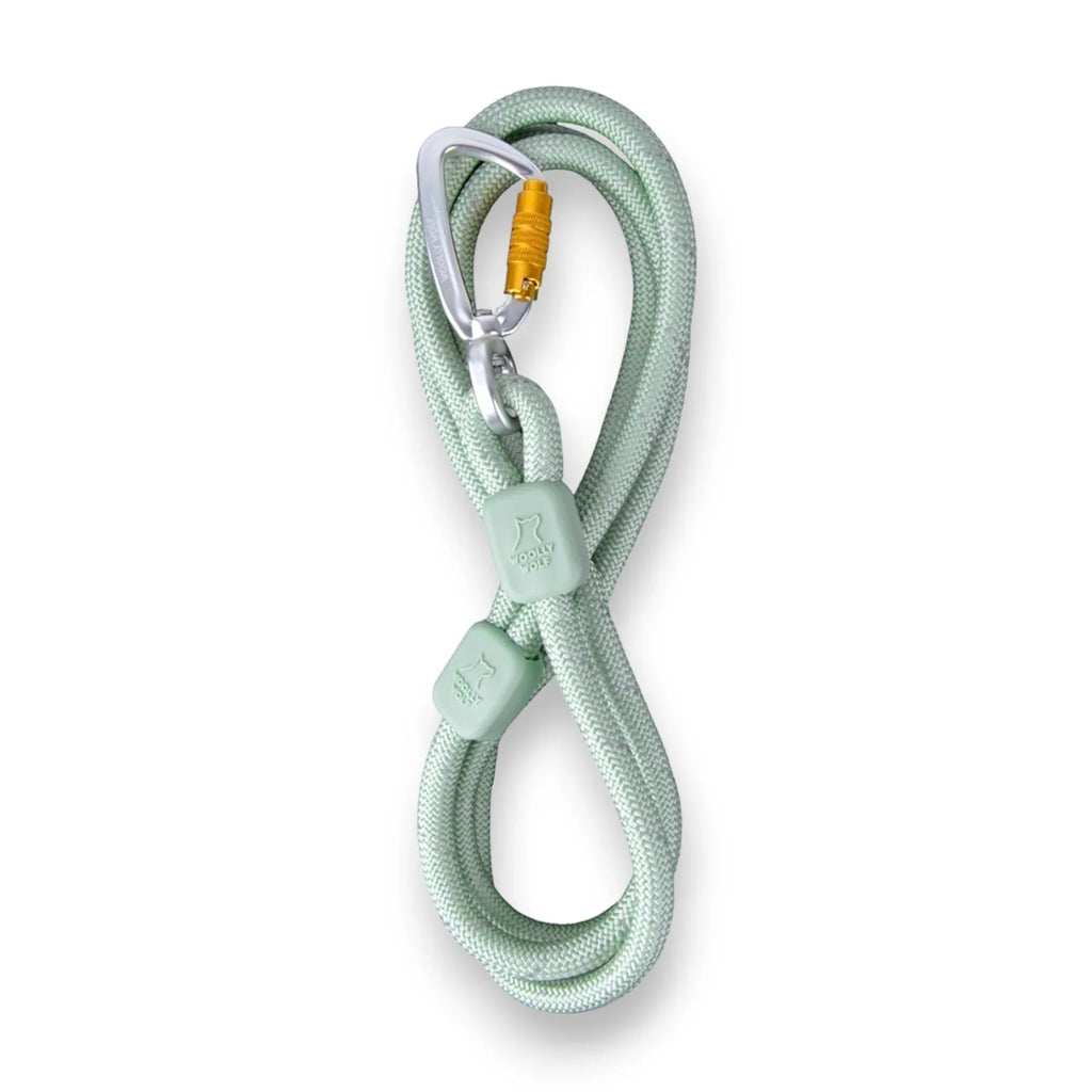 Woolly Wolf - Harness & Leash for Dogs