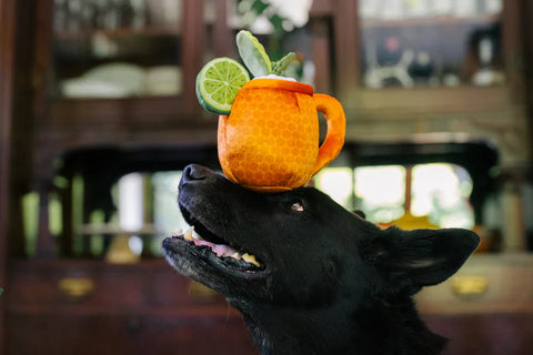 Dog Plush Toy - Barktender - Moscow Mule