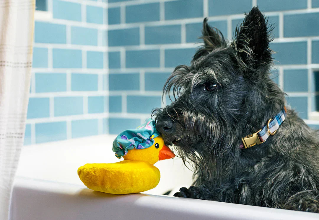 P.L.A.Y. Splish Splash Bubbles the Duck dog plush bath toy Singapore - side view