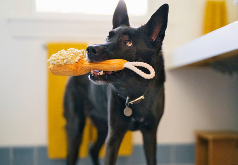 Dog Plush Toy - Splish Splash - Bark n’ Bristles