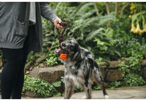 Dog tug ball rope interactive toy Singapore - tug of war toy by Petizen - lifestyle