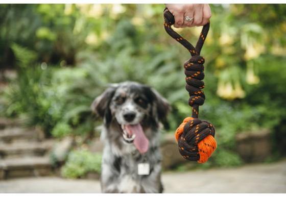 Dog tug ball rope interactive toy Singapore - tug of war toy by Petizen - packaging