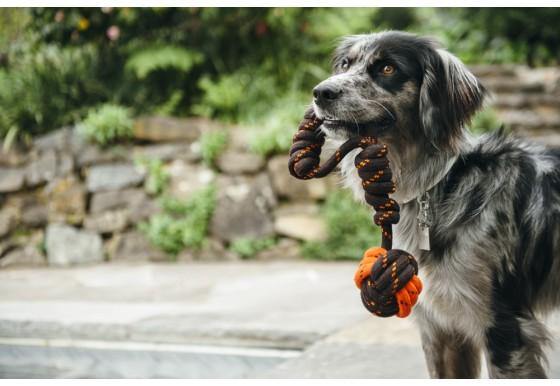 Dog tug ball rope interactive toy Singapore - tug of war toy by Petizen - in use