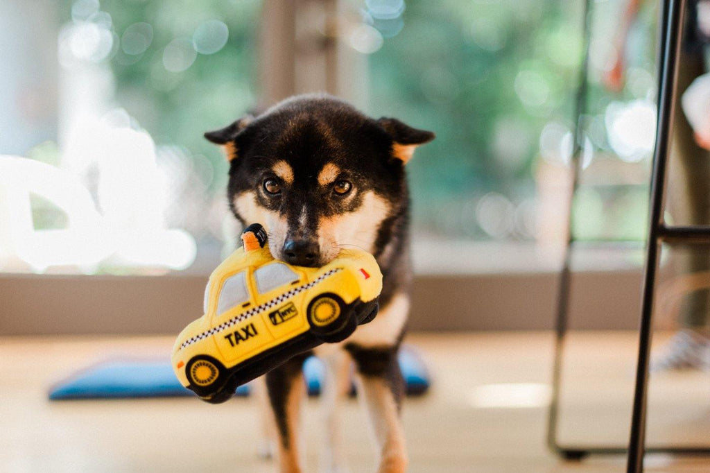 P.L.A.Y. Canine Commute dog plush toy collection Singapore - lifestyle