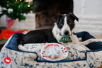 P.L.A.Y. Merry Woofmas Christmas dog plush toy collection Singapore - features