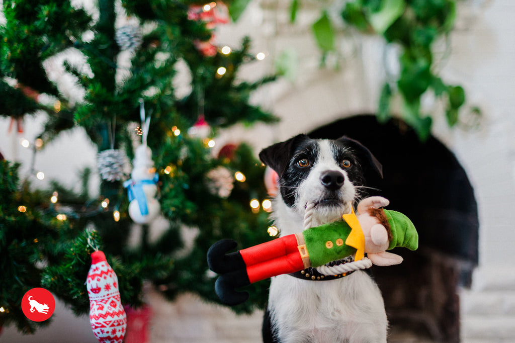Dog Plush Toy -  Merry Woofmas Collection