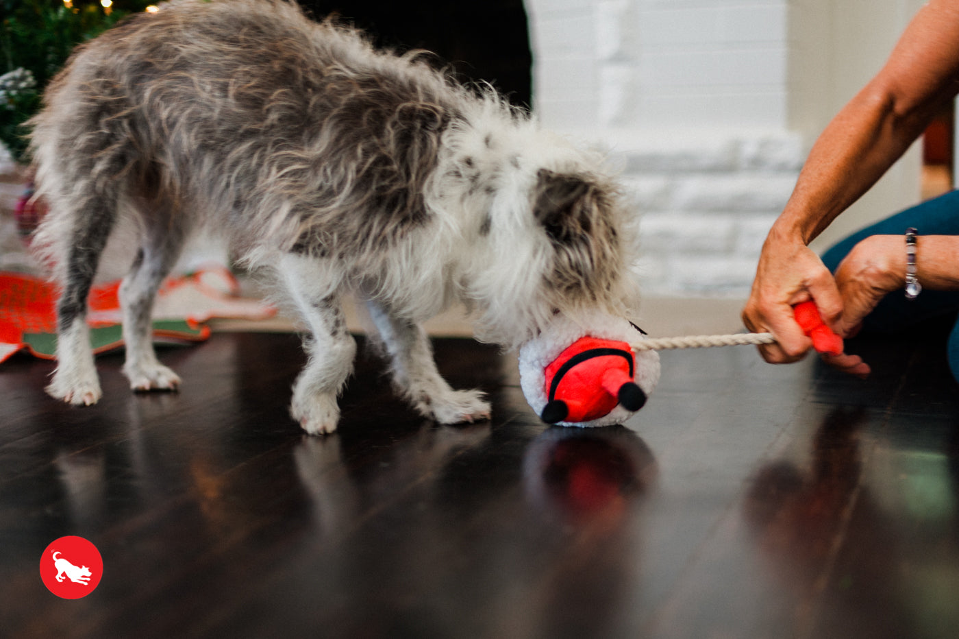 Dog Plush Toy -  Merry Woofmas Collection