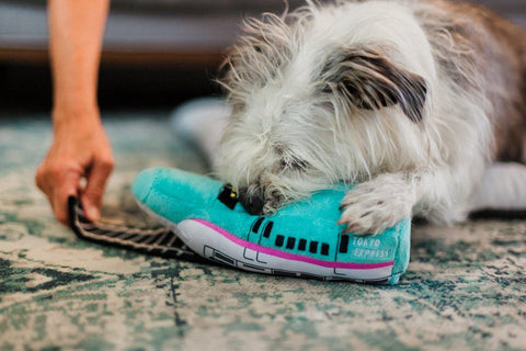 Canine Commute Collection - Petisan