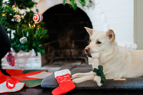 Dog Plush Toy -  Merry Woofmas Collection