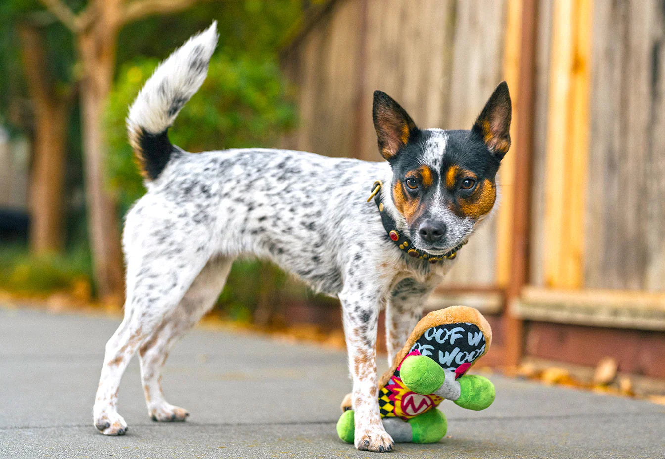 P.L.A.Y. 90s Classic Skateboard dog plush toy Singapore - side view