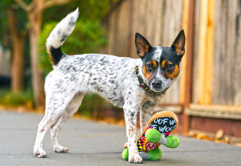 Dog Plush Toy -  90s Classic - Skateboard