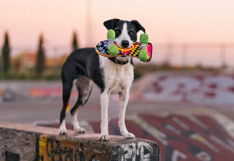Dog Plush Toy -  90s Classic - Skateboard