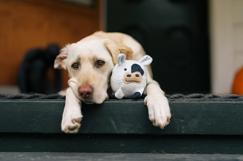 P.L.A.Y. Barnyard Buddies Cole the Cow dog plush toy Singapore - side view