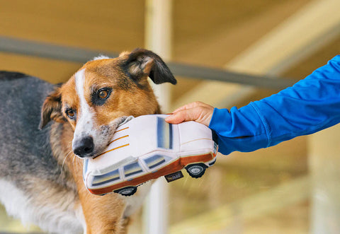 Dog Plush Toy - 80s Classic