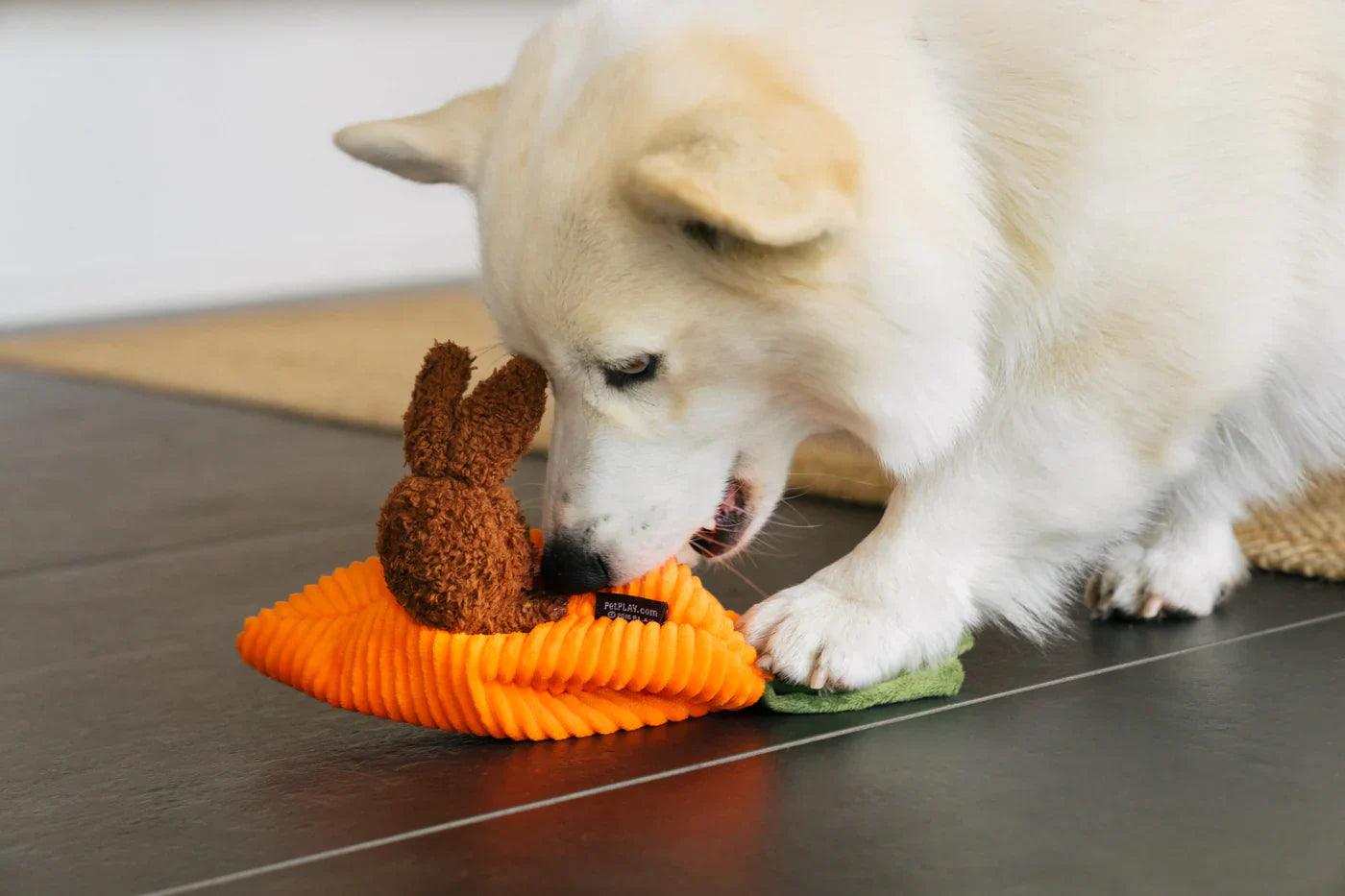 P.L.A.Y. Hippity Hoppity Easter dog plush toy collection Singapore - product overview
