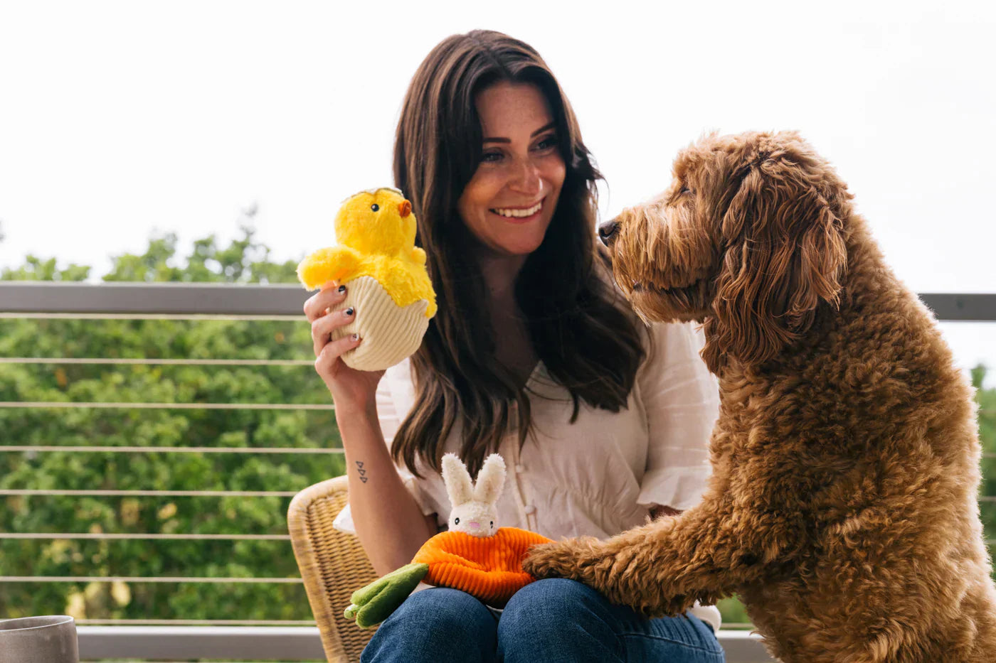 Dog Plush Toy - Hippity Hoppity Collection