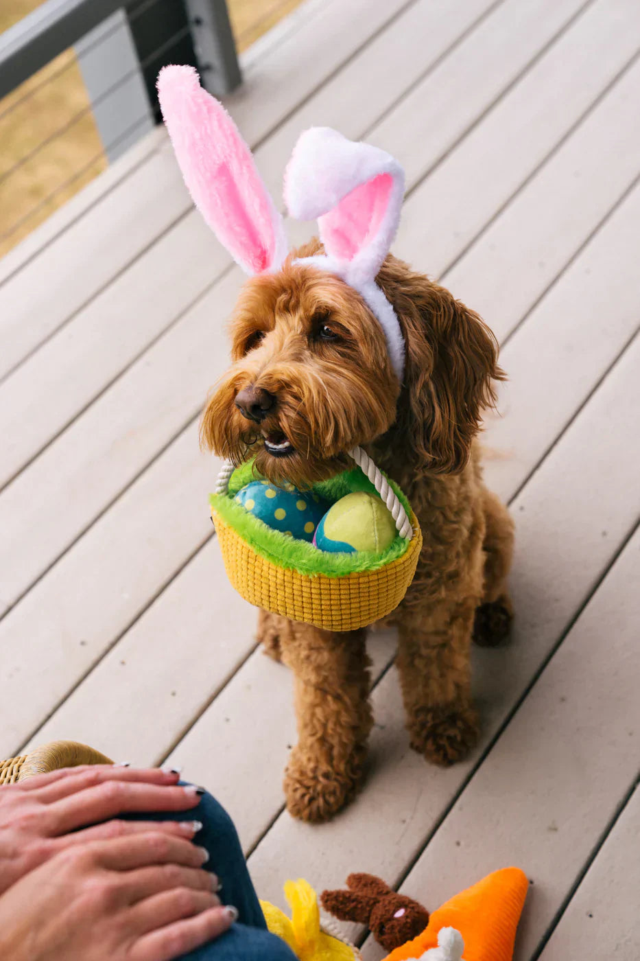 P.L.A.Y. Hippity Hoppity Easter dog plush toy collection Singapore - packaging