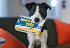 P.L.A.Y. 90s Classic VHS Video Tape dog plush toy Singapore - side view