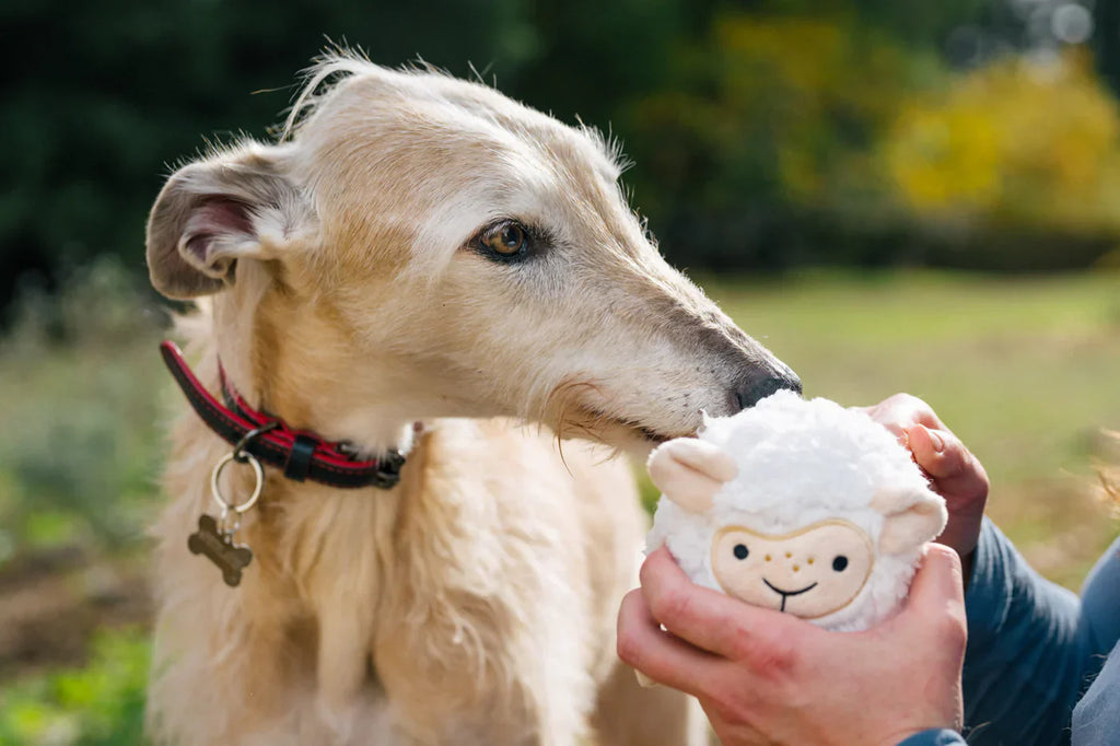P.L.A.Y. Barnyard Buddies Sadie the Sheep dog plush toy Singapore - side view