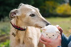 P.L.A.Y. Barnyard Buddies Sadie the Sheep dog plush toy Singapore - side view