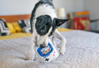 P.L.A.Y. 90s Classic Game Boy dog plush toy Singapore - packaging