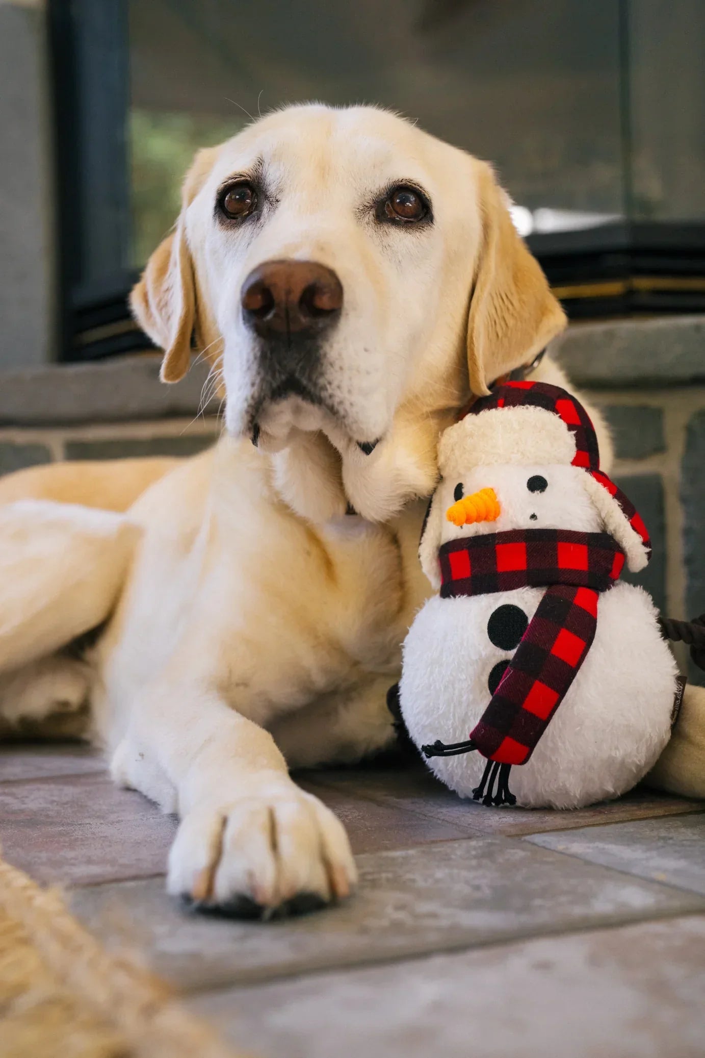 Dog Plush Toy - Home for the Holidays - Blizzard Buddy