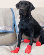 Wagwear Dog Boots - WagWellies™ (1 pair of 2)
