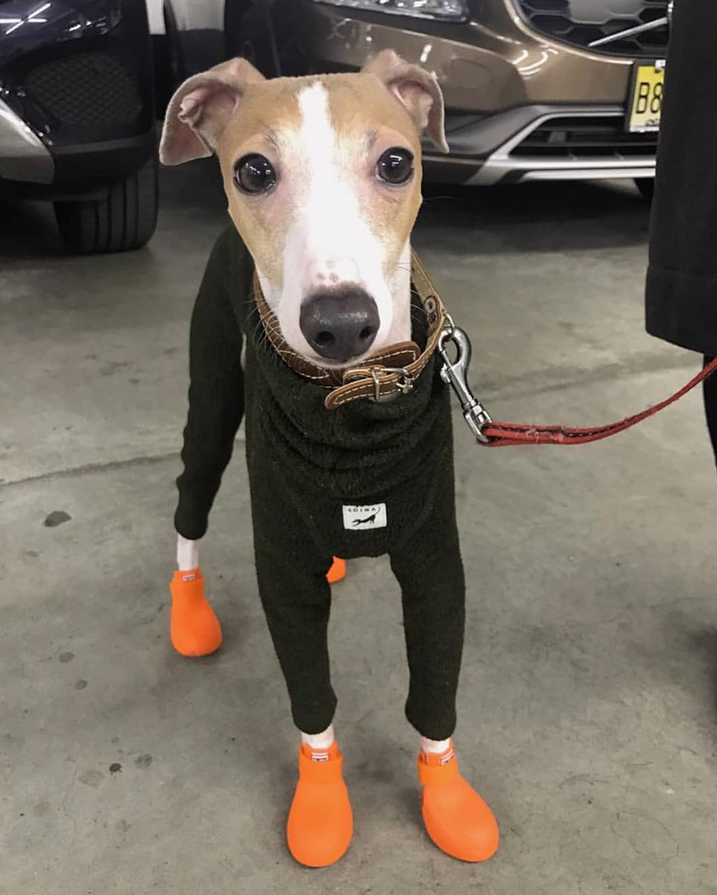 Wagwear Dog Boots - WagWellies™ (1 pair of 2)
