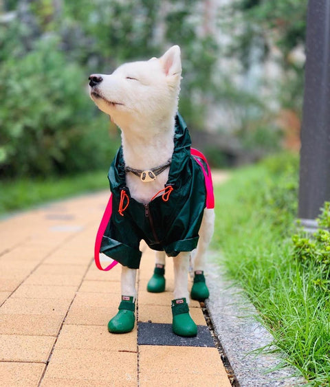 Dog Boots - WagWellies™ (1 pair of 2)