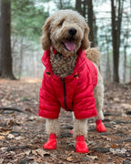 Wagwear Dog Boots - WagWellies™ (1 pair of 2)