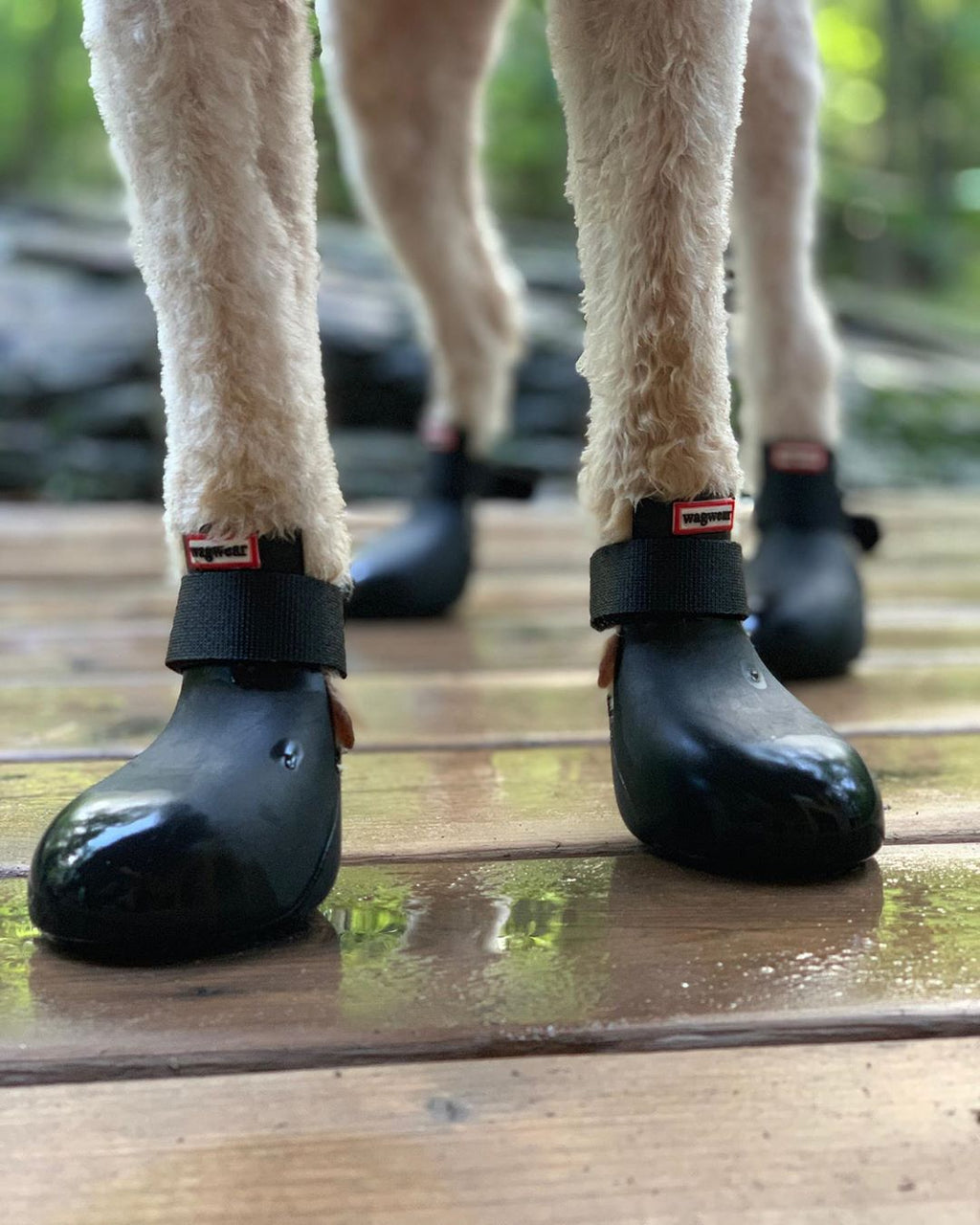 Wagwear Dog Boots - WagWellies™ (1 pair of 2)
