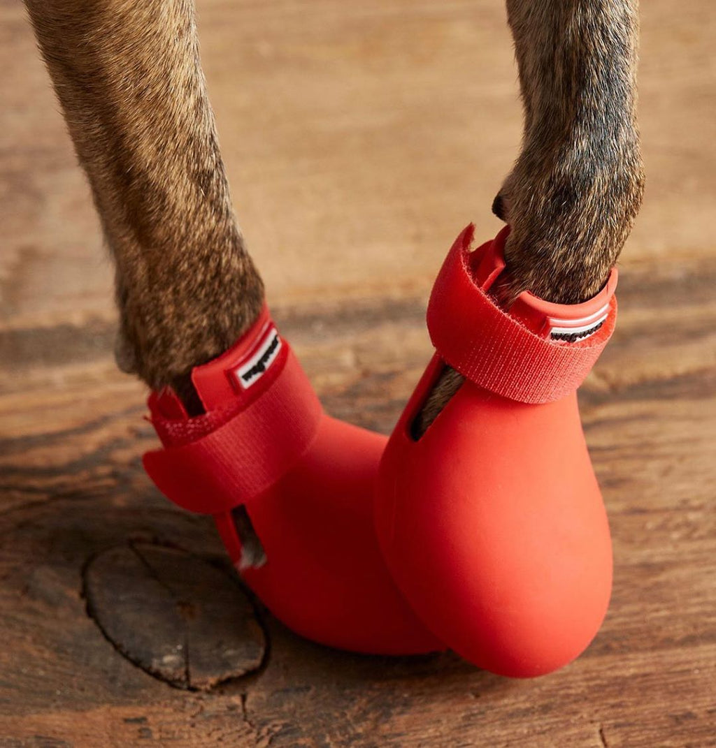 Wagwear Dog Boots - WagWellies™ (1 pair of 2)
