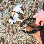 Woolly Wolf Rope Dog Leash Black