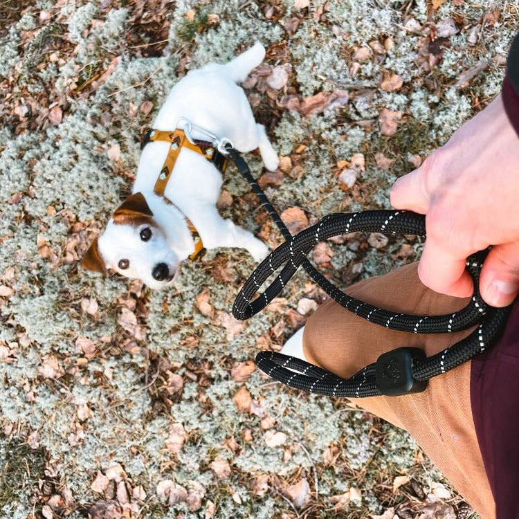 Woolly Wolf Rope Dog Leash Black