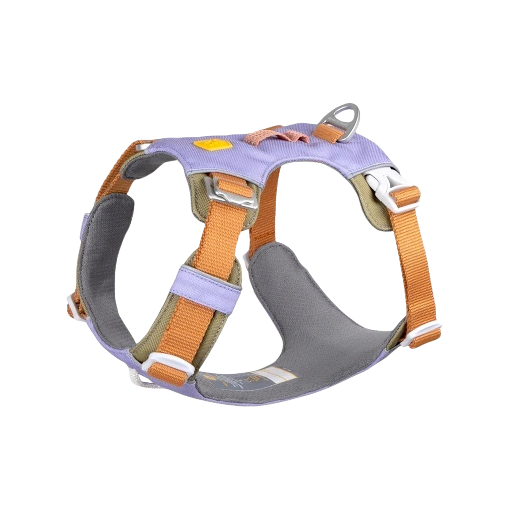 Woolly Wolf - Harness & Leash for Dogs