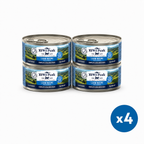 Four cans of ZIWI Peak Raw Lamb Recipe wet cat food arranged in a 2x2 grid on a white background, with a blue circular 'x4' badge in the bottom right corner.